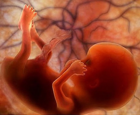 13 неделя беременности: развитие плода