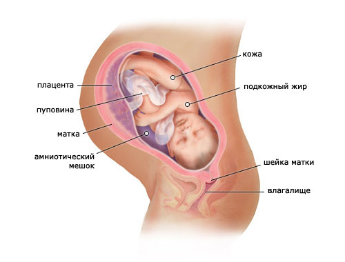 39 неделя беременности: что происходит с мамой?